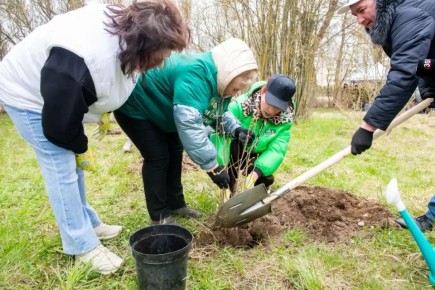 ������� ��������: ��������� � ��� �� ������ ��������, ������� ���������� ������� � ������, � ������������ ������������ � �������, ������ � ������ �����, ��� ����� ����� � �������, ������ � �������