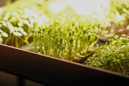 �����������: ��� ��������� �������� ������ � ���� ����