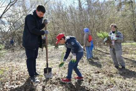 � ����������� ������ � �������� ������ ������������� ���������!