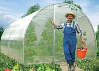 �������� �� ��������: ����������� ���� �� ������ ��������