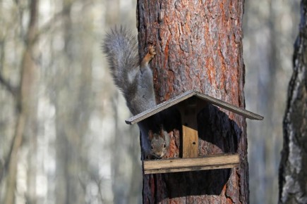 ������ ����, ���������!. ������� ��������� �������� ������, � ���� �������� ����������� ���������� �� +9 ��������