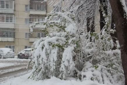 � ����� � ���������������� ��������� ��������� � ������ ������, ������ � ������� �� �������� � � ��������� ���������� ������� ��������� ���������� ��������������