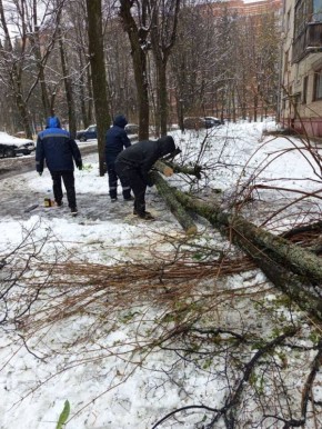 �� ����� ������� ������� � ���� 21 ��� ������ �������