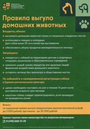 ������������ ��������� ��������� � �������������� ���������� ������� ���������� ������� � �������� ������ �������� ��������, � ����� � ����������� ���������������� ������� ������ ��� ��������� ������������� ����������