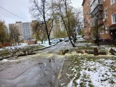 ����� ������� ��������� � �������� ����� �� ����� ������ ������������� ��������� ���������� ��������