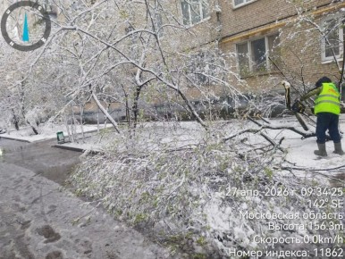 ���������� ��������� ����� ������������ ���������� ������ �� ���������� ����������� ���������