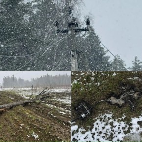 ������� ��������: ��������� ������!. ���������� � ���, ��� � ��������� ����� ������������� ����� ���������� �������� � ������-������ ��������� ��������, ��������� � ���������������� ��������� ���������