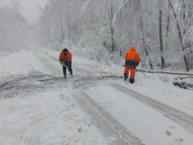 �������� ����������� �������������: � ������� ������� �������� ����������!