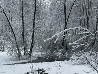 � ��������� ����� �������� ��������