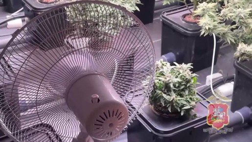 ���������� ������������� � ����������� ������ ��������� �������, �������������� � ����� ����������