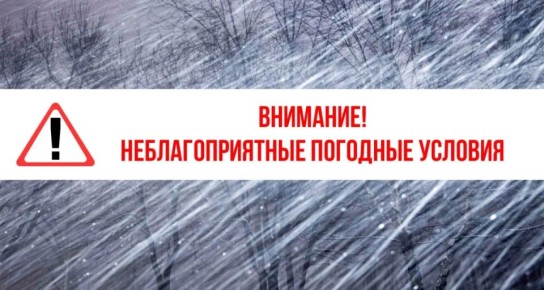 ������� ��������: ��������� ������ � ����� �������������� ������ �����!