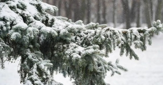 ��������� ������!. � ����� � ���������������� ��������� ��������� ����� � ���������� ������� ������������ ������ �������� ������� ��� ���������