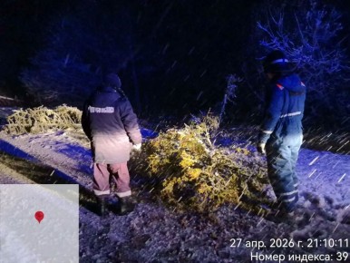 � �������������� ���������� ������ ������� ��������