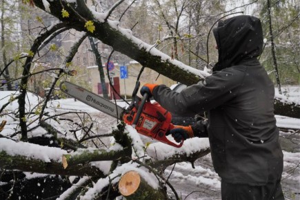 ���������� ����������� �������� � ������� ������������