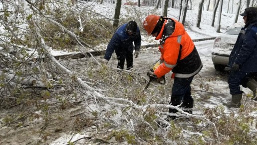 ����������� ���������� �������� ��������� � �����������