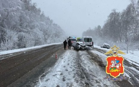 ���������� ������������ ���������������� ������������� �������������� ��� � ������������� ������ ��������