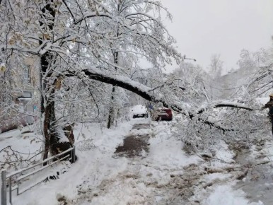 � ��������-��������� ������ ������������ ������ �� ���������� ����������� ��������