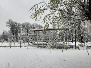 ������ ����, ��������!. ������� ����������� ������� ������� +3 ��