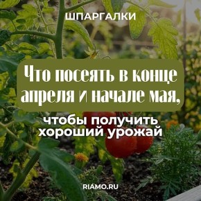 ����� ����� � ������ ����� ����� ����� � ��������� ��� ������ � � ������� ��������� � ���������� �������, ������� � ��������� �����