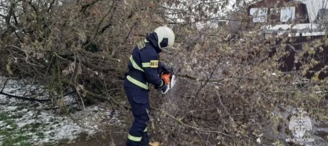 � ������������ ������������ ��������� ���������� ��������� ����������� ������