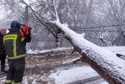 ��������� ������ ��������-���������� ������!