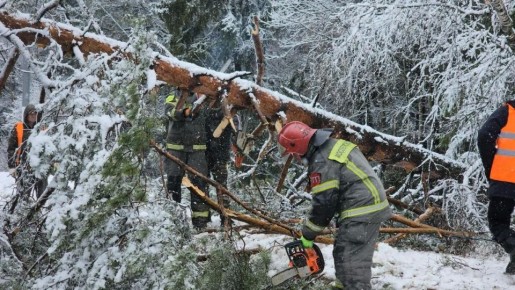 ������ ���������� �������� � ������� ������, ���������� ����, �����, � ����� ������� � ���������� ��������