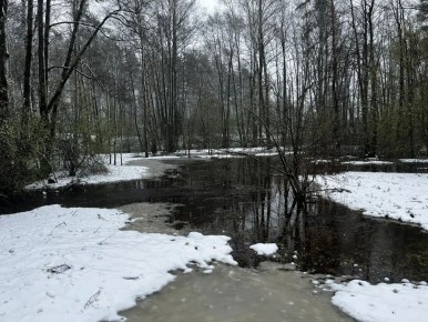 �� ��������� �� 28 ������ �������������� ���������� �� ���������� ������ �������� ����������