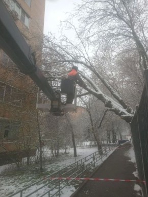 ���������� ���� � ������������: ����� ����� �����, � �������� - ������