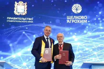 �ٸ����� ������� ������� ������������ ������� ������ �������� � �������������� ����