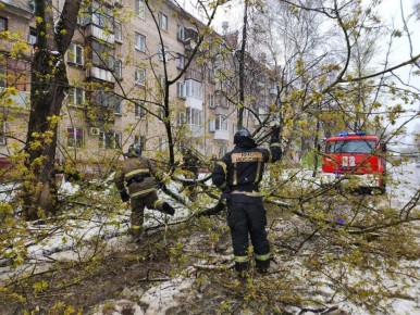 �������-������������ ������� ������� �������� ������� ���������� ������� ����� ���������