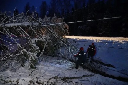 ������ �� ������� ������ �� ���������� �������������