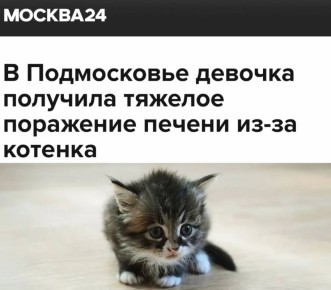 �� ����������� ������� �������� ������� ��������� ������ ��-�� �������: ���� �������� ���� ����� �������� ������������ �������������