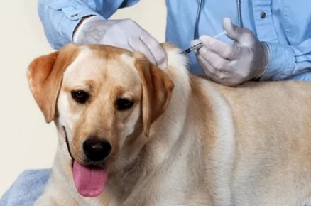 �������� ���������� ������ ��������� � ��������������!