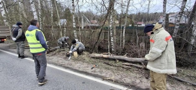 ���������� ������ ����������� ������� � �������������� ���������� ������������ ������ ������������ ��������� � ��� �������� �. �������. ����������� ������ ������� ������� ������������ ������ ����� ������