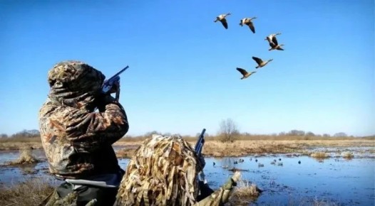 ��������� �����������!. � 20 ����� � ���������� ������� ������ �������� ����� ����� �� ������� � ������������� ����