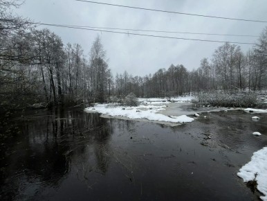 �� ��������� �� 29 ������ �������������� ���������� �� ���������� ������ �������� ����������