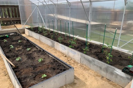 ��������� ��������: �������� ������� ����� �������� � ������