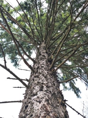 ��� ���� ���� � ��������� ������ ����������� ����� ����