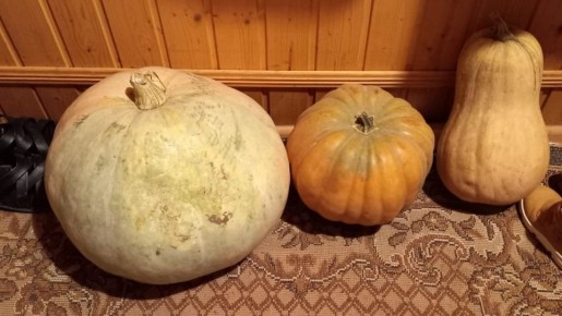 ��� ��������� ����� ���������� ��������: ����� 45 ���� ��� ��������� ��������