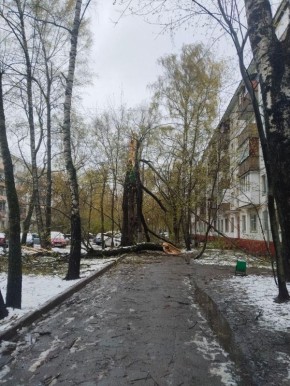 ���� � ������ ����� �������� ��� �������, ������ RT ��������