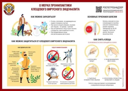 ��������������� ����������� � �������� �����