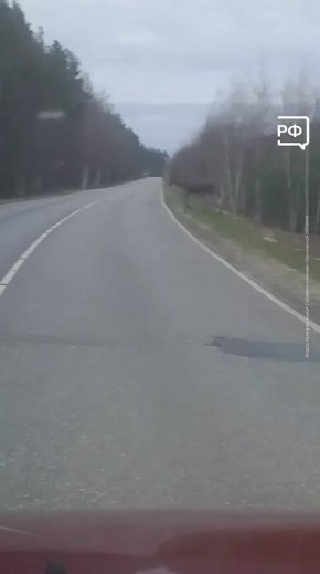 ���� ���� ����� �����, ��� ��������� ���������� ������! ������������������� ��������� �������� � ������������ ������
