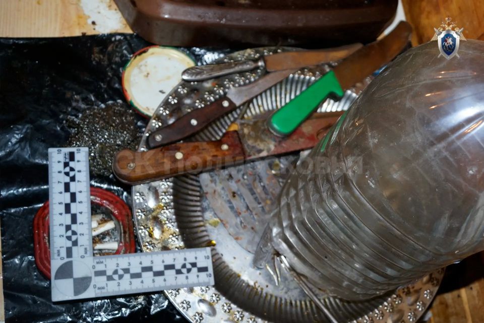 В Клину арестован местный житель, обвиняемый в убийстве знакомой