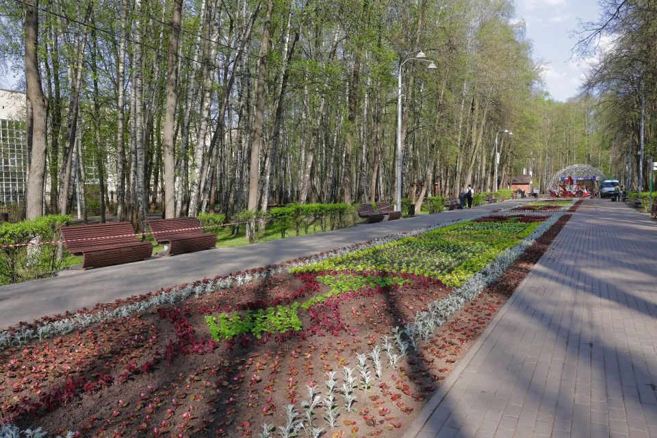 Королёв одевается в яркие цветочные композиции Королёв одевается в яркие цветочные композиции