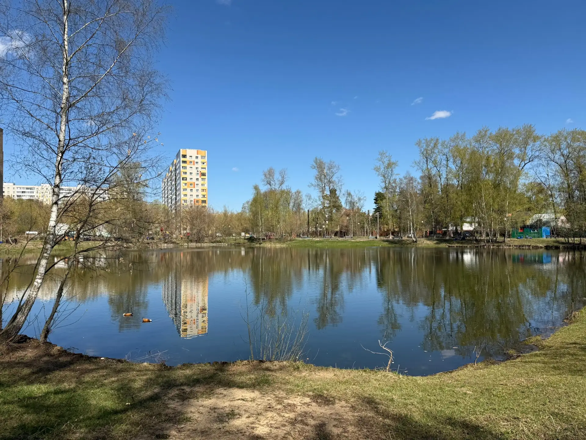 Территорию пруда в поселке Люберец могут благоустроить в случае его победы в голосовании