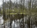 По состоянию на 11 мая паводкоопасная обстановка на территории округа остается стабильной