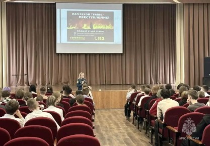 Безопасность начинается со школы: уроки от сотрудников МЧС России в Видном