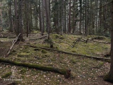 С приходом тепла в лесах Домодедово начинается «горячая пора»