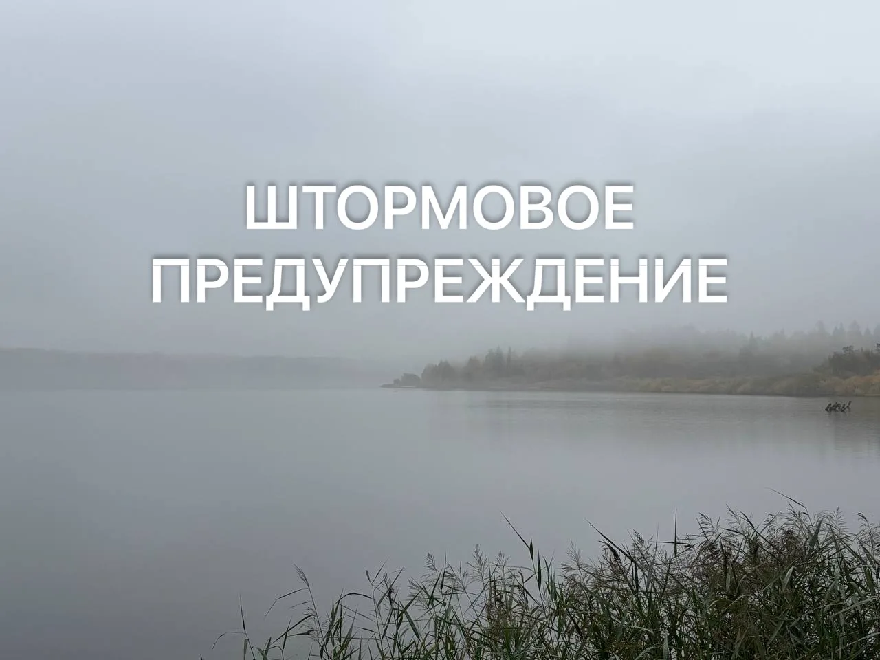 Константин Михальков: В Солнечногорске объявлено штормовое предупреждение