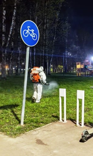 В Подмосковье начался период повышенной активности клещей, которые представляют серьёзную угрозу, так как могут переносить опасные инфекции